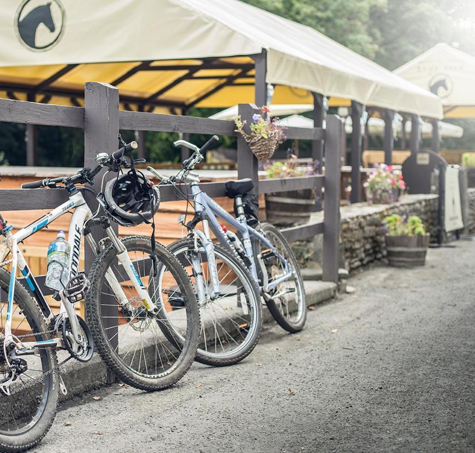 The Nags Head Inn Abercych Екстер'єр фото